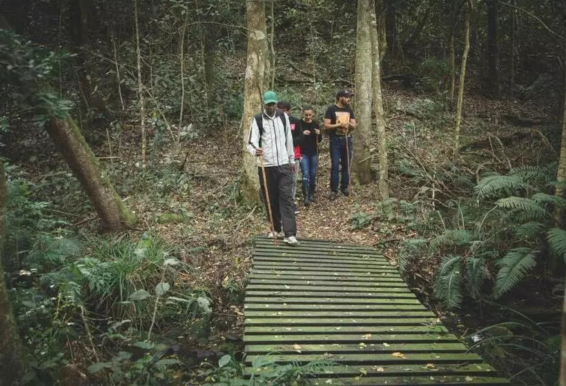 Hotelli Misty Mountain Reserve