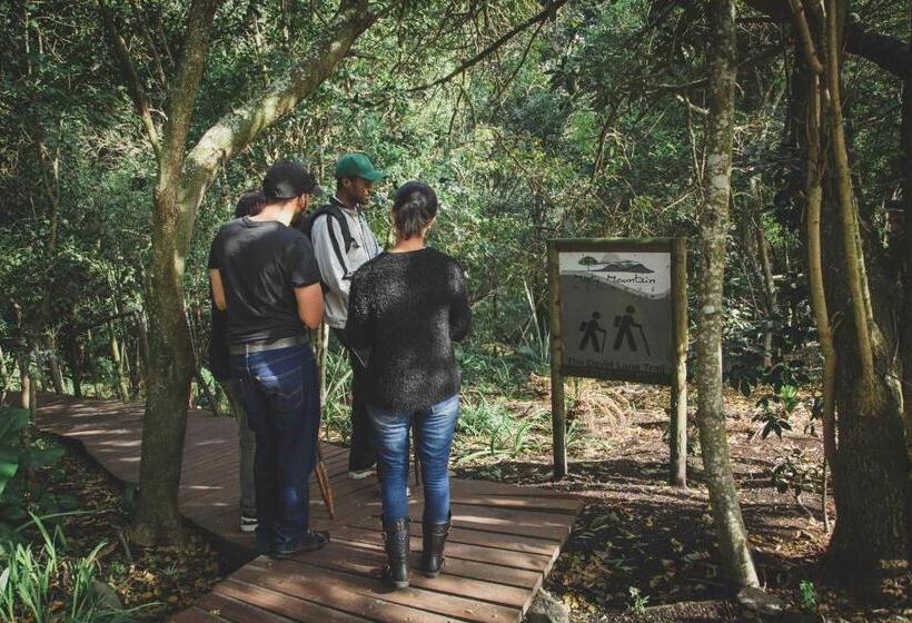 ホテル Misty Mountain Reserve