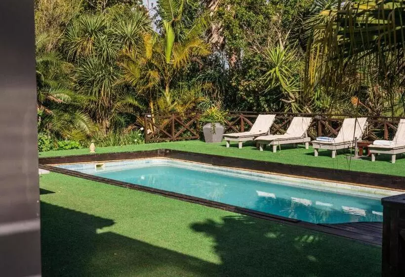 Hotelli Misty Mountain Reserve