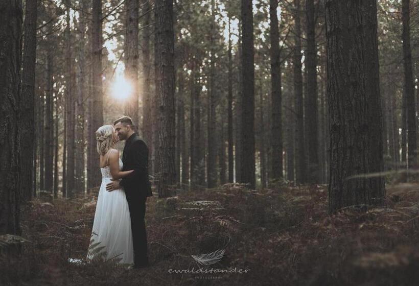 ホテル Misty Mountain Reserve