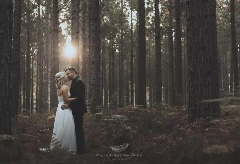 Hotelli Misty Mountain Reserve