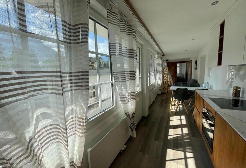 Moderne Einzigartige Wohnung In Altdorf