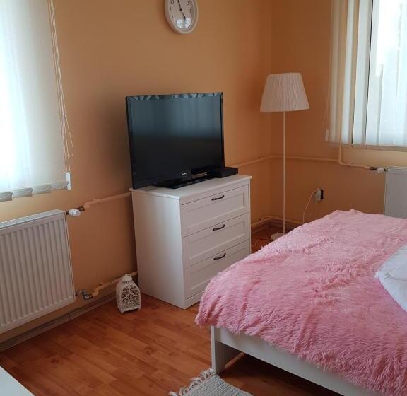 Pensionat Mónika Vendégház