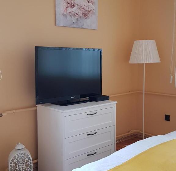 Pensionat Mónika Vendégház