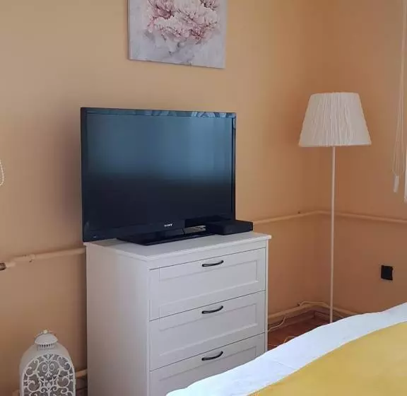 ペンション Mónika Vendégház