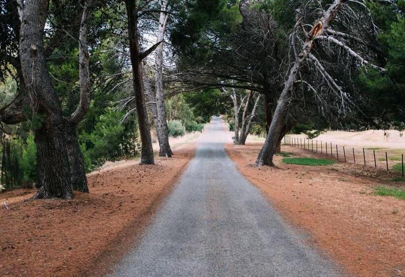 ōshen   Sleeps12 Gym Kayak Mountnbike Beachfrnt