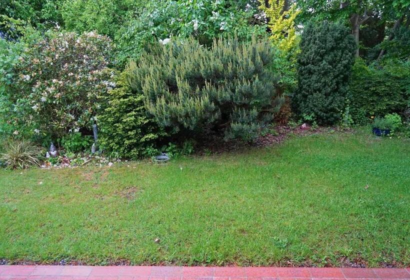 Zeltdachhaus Für Die Ganze Familie