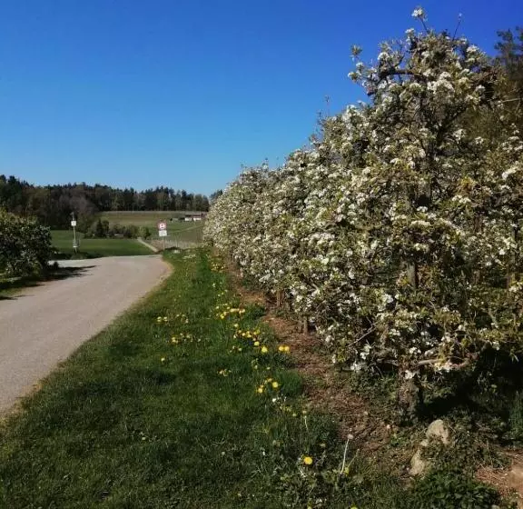 Ferienwohnung Hengnau In Wasserburg Am Bodensee