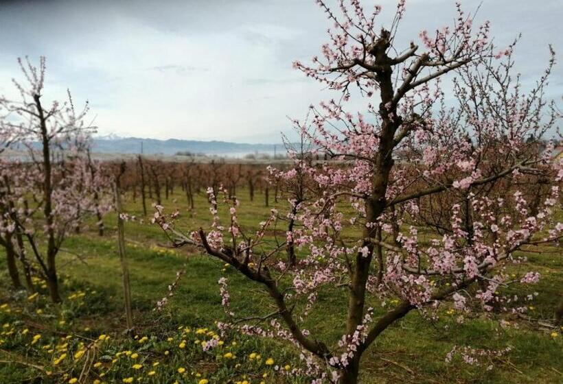 Ferienwohnung Hengnau In Wasserburg Am Bodensee