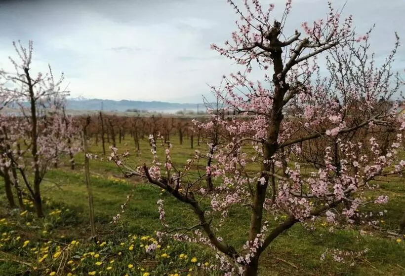 Ferienwohnung Hengnau In Wasserburg Am Bodensee