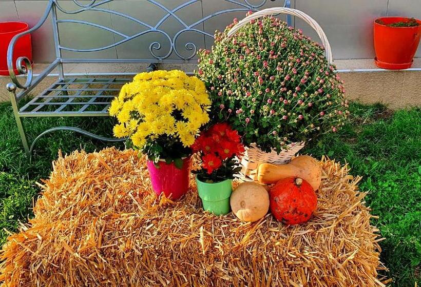 Otel хотел дани