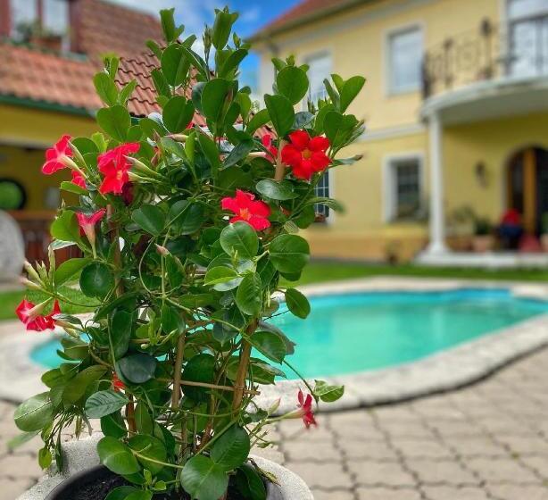 פנסיון Penzion Na Staré Poště