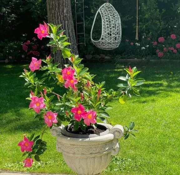 Majatalo Penzion Na Staré Poště