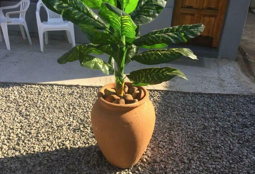 Pension Ruros Guest House