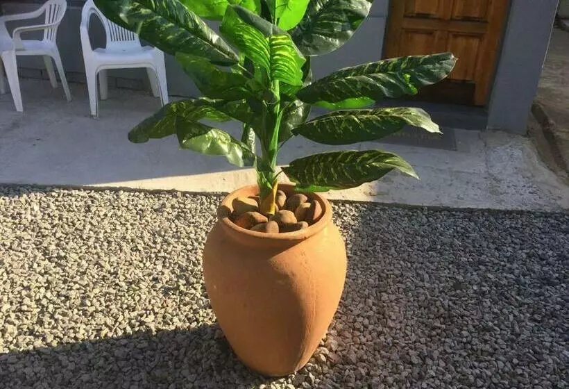 Majatalo Ruros Guest House