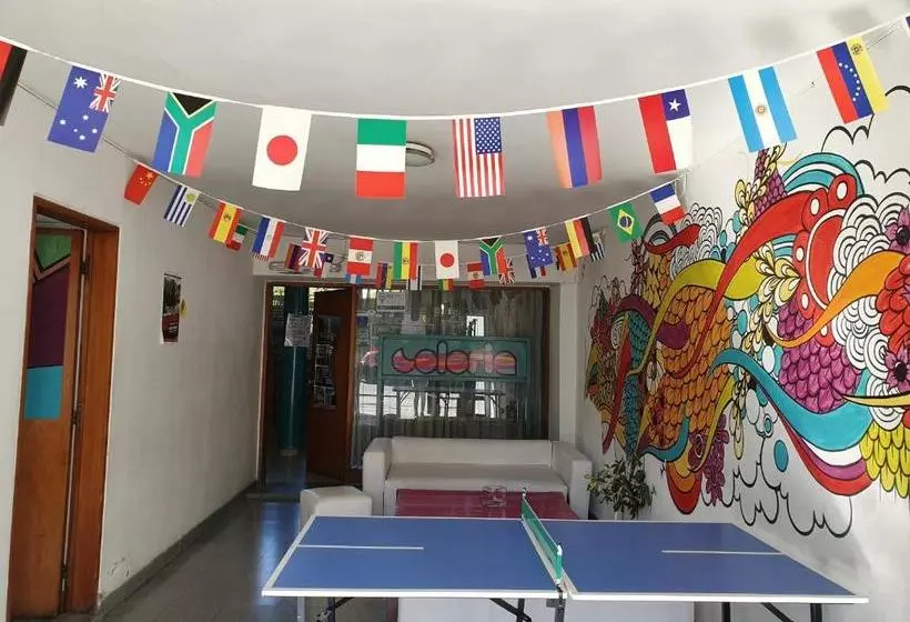 Coloria Hostel
