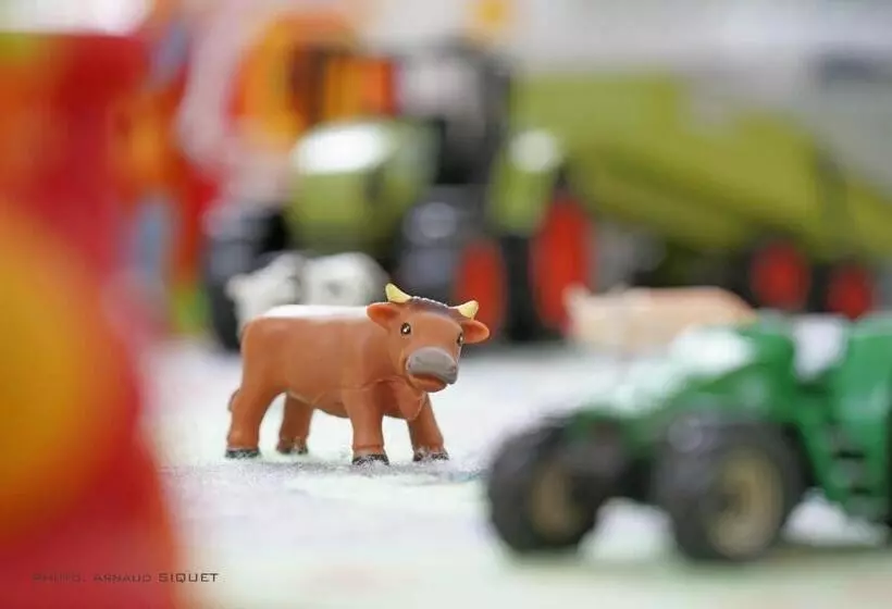 Gîte Familial Ferme Des Aujes Falaen