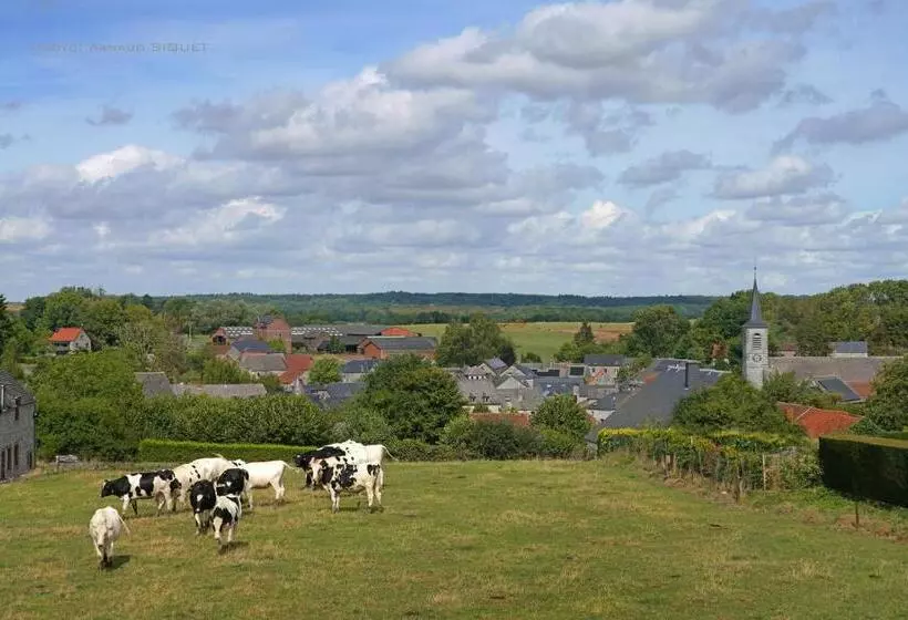 Gîte Familial Ferme Des Aujes Falaen