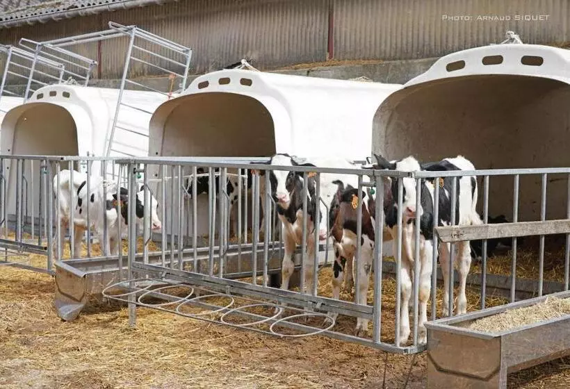 Gîte Familial Ferme Des Aujes Falaen