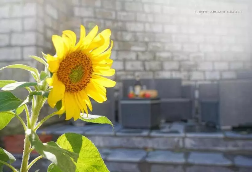 Gîte Familial Ferme Des Aujes Falaen