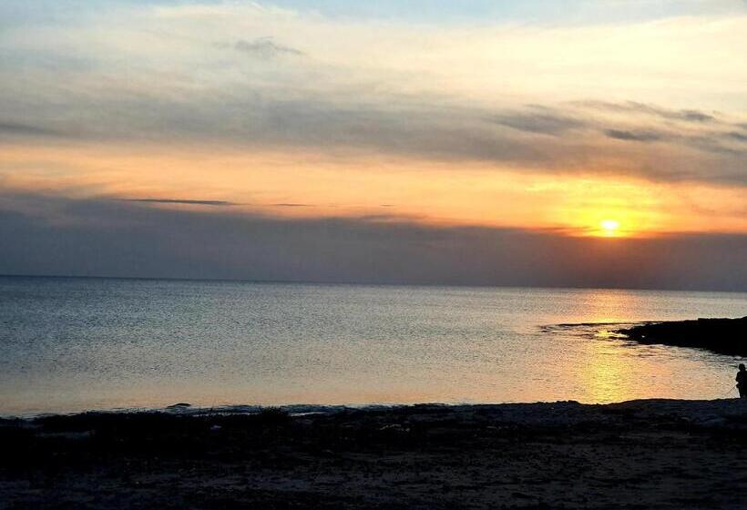 Salento   A Casa Di Lilli