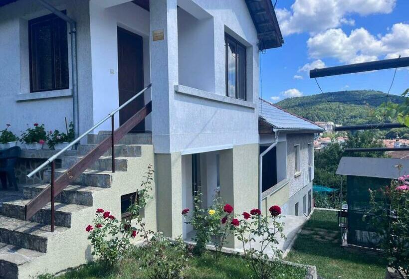 Pension (Hôtel basse catégorie) къща рачеви