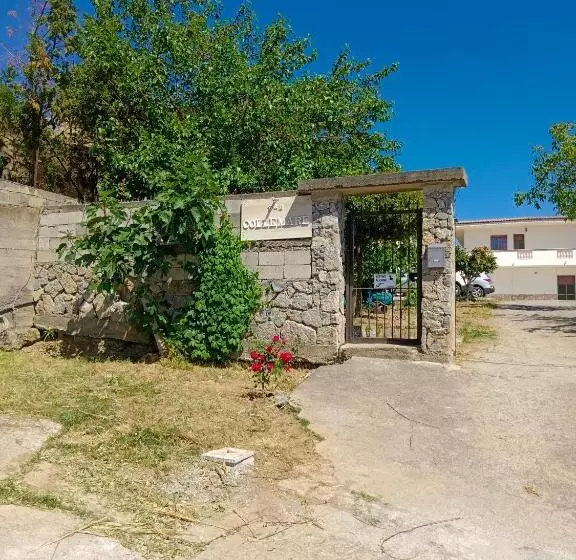B&b Collemare