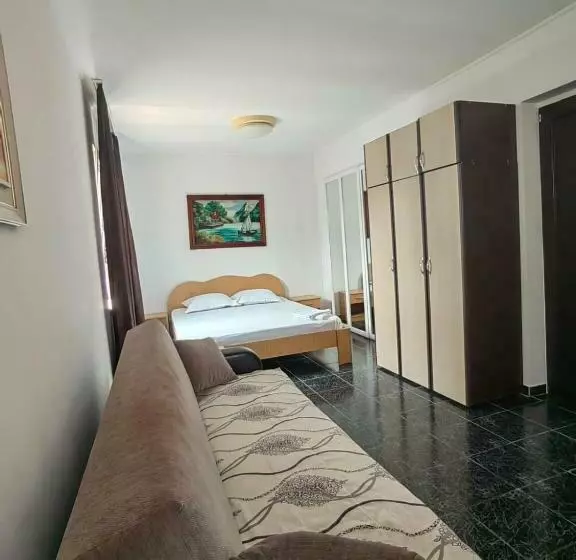 ペンション Casa Alexandru