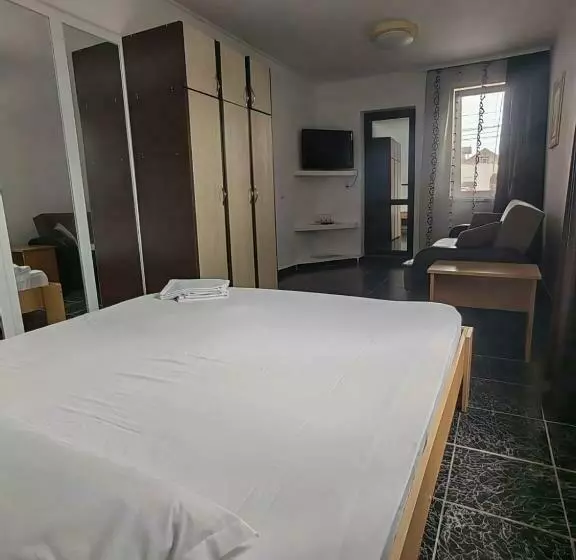 ペンション Casa Alexandru