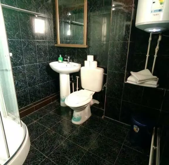 ペンション Casa Alexandru