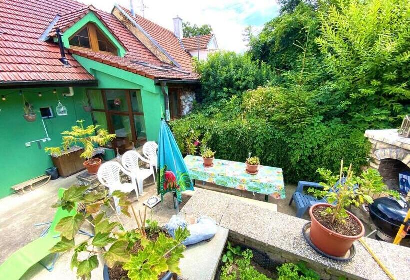 ペンション Penzion Villa Verde Moravia