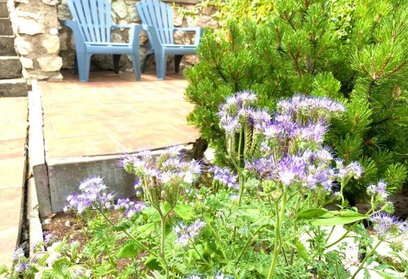 ペンション Penzion Villa Verde Moravia