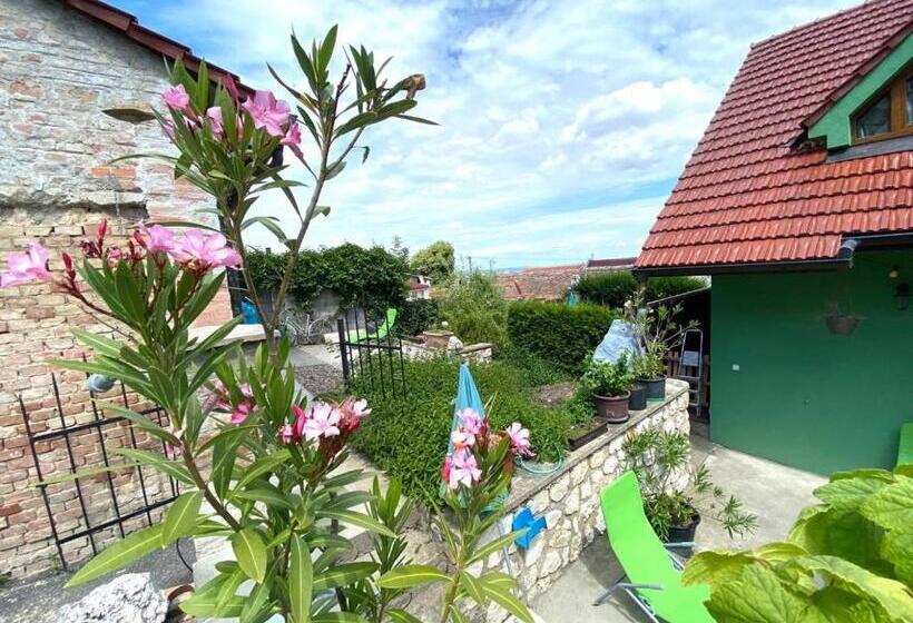 ペンション Penzion Villa Verde Moravia