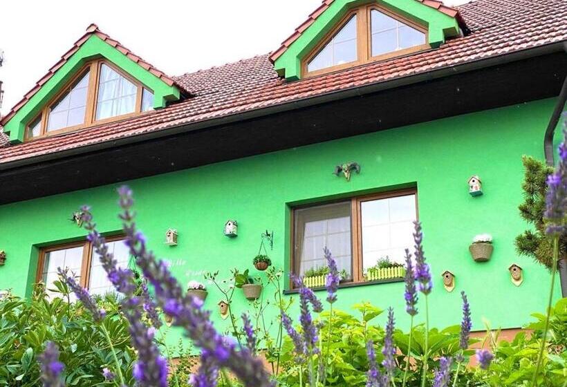 ペンション Penzion Villa Verde Moravia