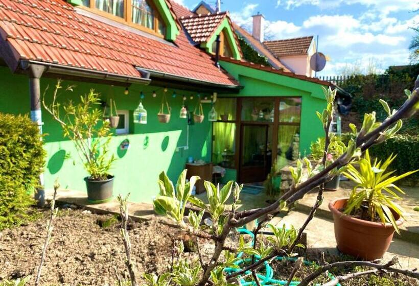 ペンション Penzion Villa Verde Moravia