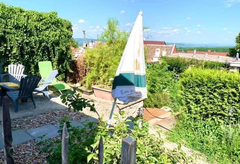 ペンション Penzion Villa Verde Moravia