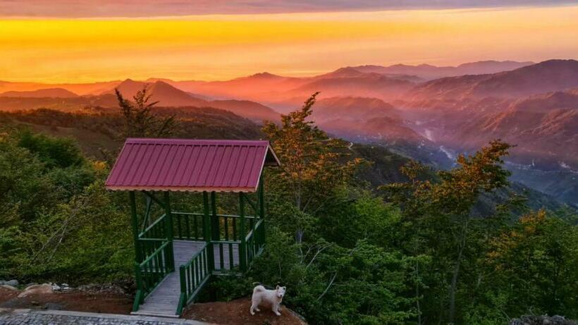 Flora Handüzü Resort & Wellness Bungalow