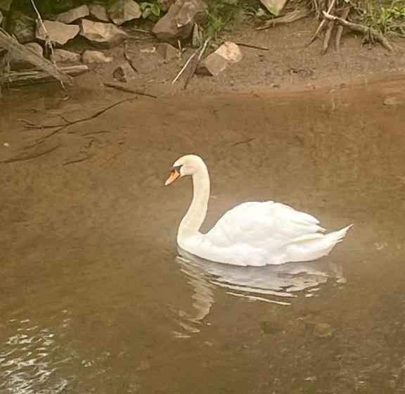 Riverbank Cottage Lake District Double Balcony