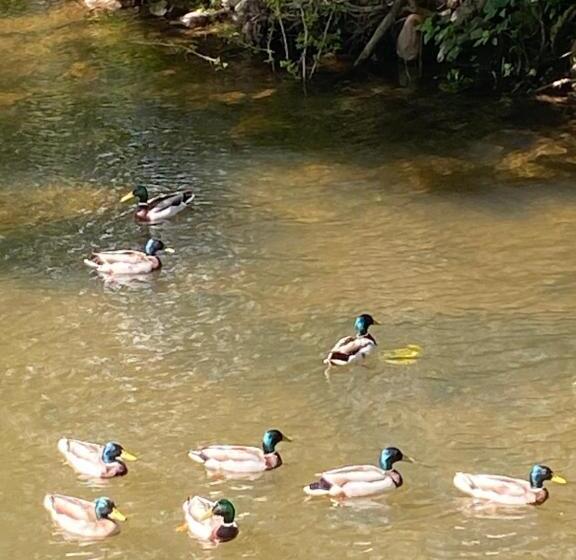 Riverbank Cottage Lake District Double Balcony