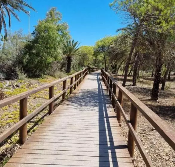 Brisas Del Mar Ii