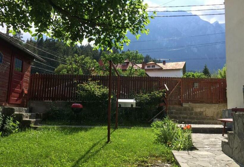 پانسیون Casa Galbena Busteni