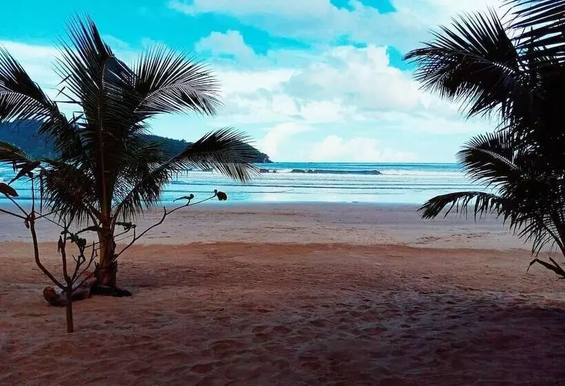 ユースホステル Zhaya S Beach & Cottages