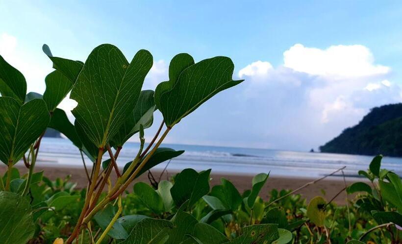 旅馆 Zhaya S Beach & Cottages