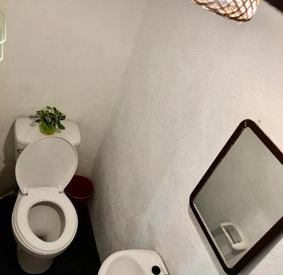 旅馆 Zhaya S Beach & Cottages