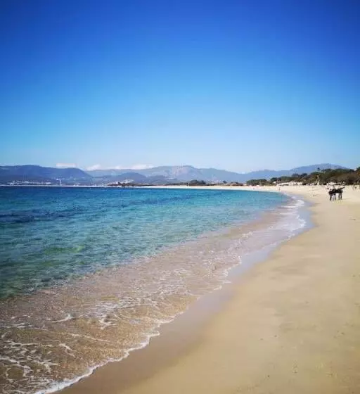 Porticcio : Magnifique T2 Piscine Vue Mer