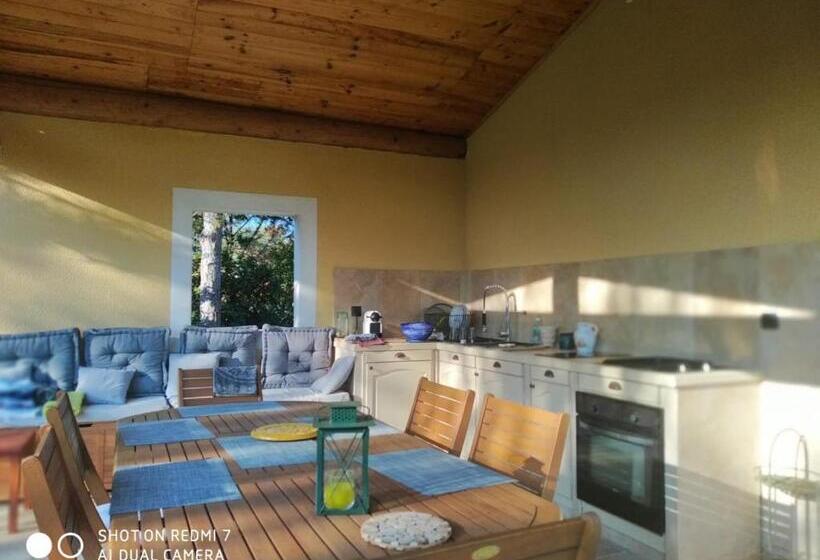 Proche Uzès Petit Gîte Avec Grande Cuisine D été Et Piscine