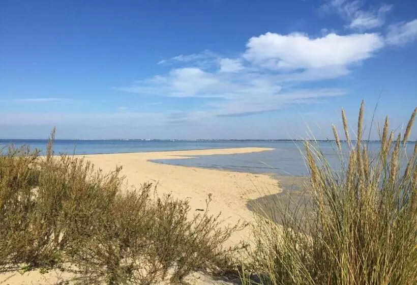 Villa Bernache, Maison Bord De Mer