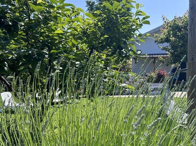 Villa Ettore Tranquil 4 Bed Villa