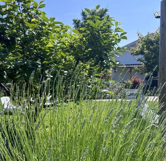 Villa Ettore Tranquil 4 Bed Villa