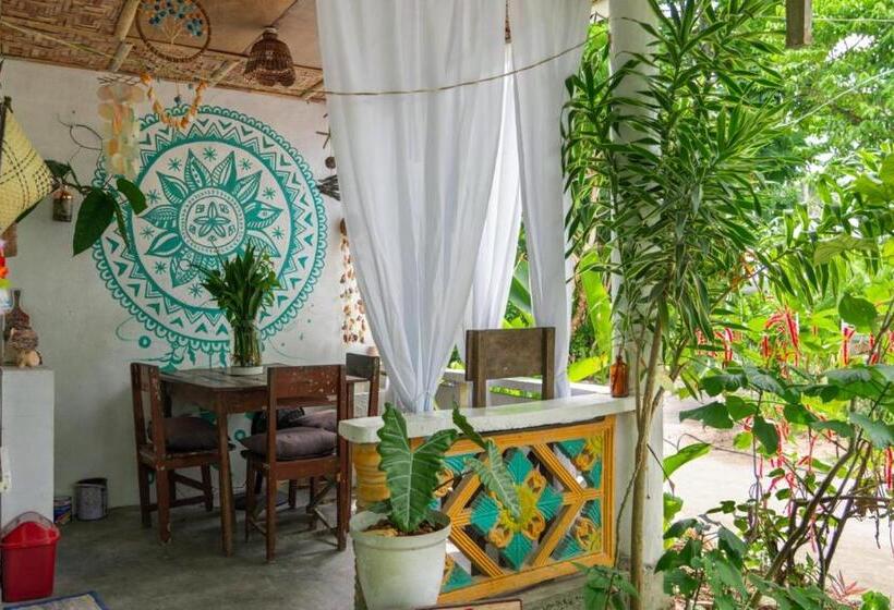 هاستل Soffta Surf Ranch